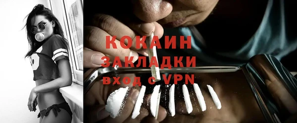 мет Алексин